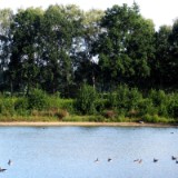 2608H 022 Soest-PB
